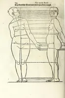 Picture 35 of 41 from Beschryvinghe van Albrecht Durer van de menschelijcke proportion : begrepen in vier onderscheyden boecken, zeer nut ende profijtelijck voor alle lief-hebbers defer konste : in't latijn ende hooghduytsch, tot Nurenbergh ghedruct, tot koste van syne nae-ghelaten weduvve, in't iaer ons Heeren 1527 : ende nu in onse Nederlandtsche sprake over-gheset, tot dienste der ghener die de konste beminnen, ende de latijnsche ofte hooghduytsche sprake niet en cerstaen (1622), leaf 252