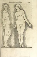 Picture 39 of 41 from Beschryvinghe van Albrecht Durer van de menschelijcke proportion : begrepen in vier onderscheyden boecken, zeer nut ende profijtelijck voor alle lief-hebbers defer konste : in't latijn ende hooghduytsch, tot Nurenbergh ghedruct, tot koste van syne nae-ghelaten weduvve, in't iaer ons Heeren 1527 : ende nu in onse Nederlandtsche sprake over-gheset, tot dienste der ghener die de konste beminnen, ende de latijnsche ofte hooghduytsche sprake niet en cerstaen (1622), leaf 263