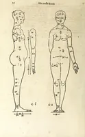 An illustration from Beschryvinghe van Albrecht Durer van de menschelijcke proportion : begrepen in vier onderscheyden boecken, zeer nut ende profijtelijck voor alle lief-hebbers defer konste : in't latijn ende hooghduytsch, tot Nurenbergh ghedruct, tot koste van syne nae-ghelaten weduvve, in't iaer ons Heeren 1527 : ende nu in onse Nederlandtsche sprake over-gheset, tot dienste der ghener die de konste beminnen, ende de latijnsche ofte hooghduytsche sprake niet en cerstaen (1622)