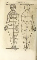 An illustration from Beschryvinghe van Albrecht Durer van de menschelijcke proportion : begrepen in vier onderscheyden boecken, zeer nut ende profijtelijck voor alle lief-hebbers defer konste : in't latijn ende hooghduytsch, tot Nurenbergh ghedruct, tot koste van syne nae-ghelaten weduvve, in't iaer ons Heeren 1527 : ende nu in onse Nederlandtsche sprake over-gheset, tot dienste der ghener die de konste beminnen, ende de latijnsche ofte hooghduytsche sprake niet en cerstaen (1622)
