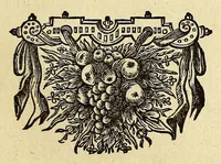 An illustration from Beschryvingh van de gedenkwaerdige zee- en landt-reyze, deur Persien naar Oost-Indien, (1658)