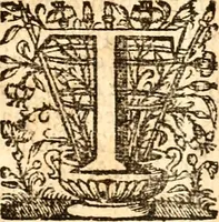 An illustration from Beschryving van Louisania, nieuwelijks ontdekt ten zuidwesten van Niew-Vrankryk, door order van den Koning (1688)
