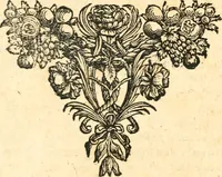 An illustration from Beschryving van Louisania, nieuwelijks ontdekt ten zuidwesten van Niew-Vrankryk, door order van den Koning (1688)