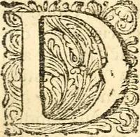An illustration from Beschryving van Louisania, nieuwelijks ontdekt ten zuidwesten van Niew-Vrankryk, door order van den Koning (1688)