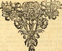 An illustration from Beschryving van Louisania, nieuwelijks ontdekt ten zuidwesten van Niew-Vrankryk, door order van den Koning (1688)