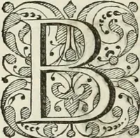An illustration from Beschryving van's Graven-hage (1730)