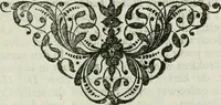 An illustration from Beschryving van's Graven-hage (1730)