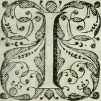An illustration from Beschryving van's Graven-hage (1730)
