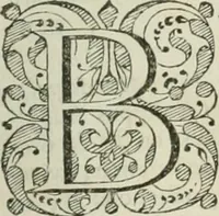 An illustration from Beschryving van's Graven-hage (1730)