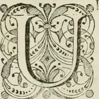 An illustration from Beschryving van's Graven-hage (1730)