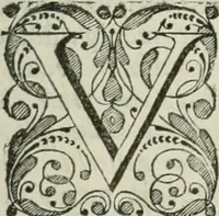 An illustration from Beschryving van's Graven-hage (1730)