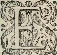 An illustration from Beschryving van's Graven-hage (1730)