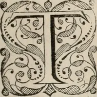 An illustration from Beschryving van's Graven-hage (1730)
