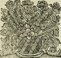 An illustration from Beschryving van's Graven-hage (1730)