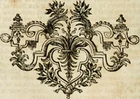 An illustration from Beschryving van's Graven-hage (1730)