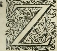 Picture 27 of 39 from Beschryving van's Graven-hage (1730), leaf 236