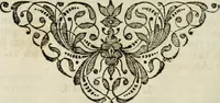 An illustration from Beschryving van's Graven-hage (1730)