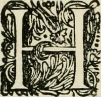 An illustration from Beschryving van's Graven-hage (1730)