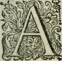 An illustration from Beschryving van's Graven-hage (1730)