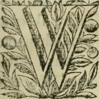 An illustration from Beschryving van's Graven-hage (1730)