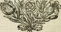 Picture 9 of 39 from Beschryving van's Graven-hage (1730), leaf 83