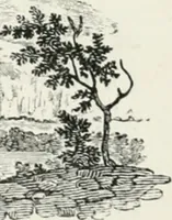 An illustration from The Bewick collector. A descriptive catalogue of the works of Thomas and John Bewick; including cuts, in various states, for books and pamphlets, private gentlemen, public companies, exhibitions, races, newspapers, shop cards, invoice heads, bar bills, coal certificates, broadsides, and other miscellaneous purposes, and wood blocks. With an appendix of portraits, autographs, works of pupils, &c. &c. The whole described from the originals contained in the largest and most perfect collection ever formed, and illustrated with a hundred and twelve cuts (1866)