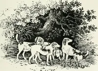 An illustration from The Bewick collector. A descriptive catalogue of the works of Thomas and John Bewick; including cuts, in various states, for books and pamphlets, private gentlemen, public companies, exhibitions, races, newspapers, shop cards, invoice heads, bar bills, coal certificates, broadsides, and other miscellaneous purposes, and wood blocks. With an appendix of portraits, autographs, works of pupils, &c. &c. The whole described from the originals contained in the largest and most perfect collection ever formed, and illustrated with a hundred and twelve cuts (1866)