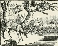 An illustration from The Bewick collector. A descriptive catalogue of the works of Thomas and John Bewick; including cuts, in various states, for books and pamphlets, private gentlemen, public companies, exhibitions, races, newspapers, shop cards, invoice heads, bar bills, coal certificates, broadsides, and other miscellaneous purposes, and wood blocks. With an appendix of portraits, autographs, works of pupils, &c. &c. The whole described from the originals contained in the largest and most perfect collection ever formed, and illustrated with a hundred and twelve cuts (1866)