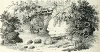 An illustration from The Bewick collector. A descriptive catalogue of the works of Thomas and John Bewick; including cuts, in various states, for books and pamphlets, private gentlemen, public companies, exhibitions, races, newspapers, shop cards, invoice heads, bar bills, coal certificates, broadsides, and other miscellaneous purposes, and wood blocks. With an appendix of portraits, autographs, works of pupils, &c. &c. The whole described from the originals contained in the largest and most perfect collection ever formed, and illustrated with a hundred and twelve cuts (1866)