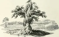 An illustration from The Bewick collector. A descriptive catalogue of the works of Thomas and John Bewick; including cuts, in various states, for books and pamphlets, private gentlemen, public companies, exhibitions, races, newspapers, shop cards, invoice heads, bar bills, coal certificates, broadsides, and other miscellaneous purposes, and wood blocks. With an appendix of portraits, autographs, works of pupils, &c. &c. The whole described from the originals contained in the largest and most perfect collection ever formed, and illustrated with a hundred and twelve cuts (1866)