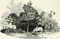 Picture 49 of 93 from The Bewick collector. A descriptive catalogue of the works of Thomas and John Bewick; including cuts, in various states, for books and pamphlets, private gentlemen, public companies, exhibitions, races, newspapers, shop cards, invoice heads, bar bills, coal certificates, broadsides, and other miscellaneous purposes, and wood blocks. With an appendix of portraits, autographs, works of pupils, &c. &c. The whole described from the originals contained in the largest and most perfect collection ever formed, and illustrated with a hundred and twelve cuts (1866), leaf 431