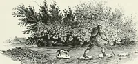An illustration from The Bewick collector. A descriptive catalogue of the works of Thomas and John Bewick; including cuts, in various states, for books and pamphlets, private gentlemen, public companies, exhibitions, races, newspapers, shop cards, invoice heads, bar bills, coal certificates, broadsides, and other miscellaneous purposes, and wood blocks. With an appendix of portraits, autographs, works of pupils, &c. &c. The whole described from the originals contained in the largest and most perfect collection ever formed, and illustrated with a hundred and twelve cuts (1866)