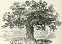 An illustration from The Bewick collector. A descriptive catalogue of the works of Thomas and John Bewick; including cuts, in various states, for books and pamphlets, private gentlemen, public companies, exhibitions, races, newspapers, shop cards, invoice heads, bar bills, coal certificates, broadsides, and other miscellaneous purposes, and wood blocks. With an appendix of portraits, autographs, works of pupils, &c. &c. The whole described from the originals contained in the largest and most perfect collection ever formed, and illustrated with a hundred and twelve cuts (1866)