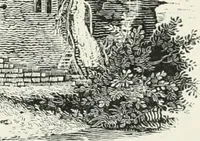 An illustration from The Bewick collector. A descriptive catalogue of the works of Thomas and John Bewick; including cuts, in various states, for books and pamphlets, private gentlemen, public companies, exhibitions, races, newspapers, shop cards, invoice heads, bar bills, coal certificates, broadsides, and other miscellaneous purposes, and wood blocks. With an appendix of portraits, autographs, works of pupils, &c. &c. The whole described from the originals contained in the largest and most perfect collection ever formed, and illustrated with a hundred and twelve cuts (1866)