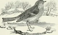 An illustration from The Bewick collector. A descriptive catalogue of the works of Thomas and John Bewick; including cuts, in various states, for books and pamphlets, private gentlemen, public companies, exhibitions, races, newspapers, shop cards, invoice heads, bar bills, coal certificates, broadsides, and other miscellaneous purposes, and wood blocks. With an appendix of portraits, autographs, works of pupils, &c. &c. The whole described from the originals contained in the largest and most perfect collection ever formed, and illustrated with a hundred and twelve cuts (1866)