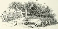 An illustration from The Bewick collector. A descriptive catalogue of the works of Thomas and John Bewick; including cuts, in various states, for books and pamphlets, private gentlemen, public companies, exhibitions, races, newspapers, shop cards, invoice heads, bar bills, coal certificates, broadsides, and other miscellaneous purposes, and wood blocks. With an appendix of portraits, autographs, works of pupils, &c. &c. The whole described from the originals contained in the largest and most perfect collection ever formed, and illustrated with a hundred and twelve cuts (1866)