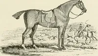 An illustration from The Bewick collector : a supplement to a descriptive catalogue of the works of Thomas and John Bewick : consisting of additions to the various divisions of cuts, wood blocks, etc. ... (1868)