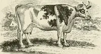 Picture 23 of 137 from The Bewick collector : a supplement to a descriptive catalogue of the works of Thomas and John Bewick : consisting of additions to the various divisions of cuts, wood blocks, etc. ... (1868), leaf 104