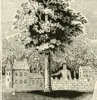 Picture 43 of 137 from The Bewick collector : a supplement to a descriptive catalogue of the works of Thomas and John Bewick : consisting of additions to the various divisions of cuts, wood blocks, etc. ... (1868), leaf 147