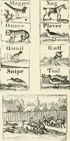 Picture 49 of 137 from The Bewick collector : a supplement to a descriptive catalogue of the works of Thomas and John Bewick : consisting of additions to the various divisions of cuts, wood blocks, etc. ... (1868), leaf 167