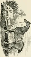 An illustration from The Bewick collector : a supplement to a descriptive catalogue of the works of Thomas and John Bewick : consisting of additions to the various divisions of cuts, wood blocks, etc. ... (1868)