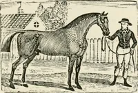 An illustration from The Bewick collector : a supplement to a descriptive catalogue of the works of Thomas and John Bewick : consisting of additions to the various divisions of cuts, wood blocks, etc. ... (1868)