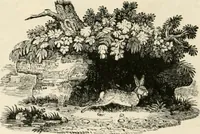 An illustration from The Bewick collector : a supplement to a descriptive catalogue of the works of Thomas and John Bewick : consisting of additions to the various divisions of cuts, wood blocks, etc. ... (1868)