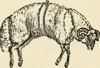 Picture 122 of 137 from The Bewick collector : a supplement to a descriptive catalogue of the works of Thomas and John Bewick : consisting of additions to the various divisions of cuts, wood blocks, etc. ... (1868), leaf 299