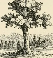 An illustration from The Bewick collector : a supplement to a descriptive catalogue of the works of Thomas and John Bewick : consisting of additions to the various divisions of cuts, wood blocks, etc. ... (1868)