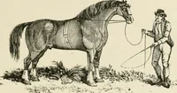 An illustration from The Bewick collector : a supplement to a descriptive catalogue of the works of Thomas and John Bewick : consisting of additions to the various divisions of cuts, wood blocks, etc. ... (1868)