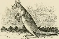 An illustration from The Bewick collector : a supplement to a descriptive catalogue of the works of Thomas and John Bewick : consisting of additions to the various divisions of cuts, wood blocks, etc. ... (1868)