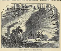 Picture 8 of 13 from Beyond the Mississippi : from the great river to the great ocean : life and adventure on the prairies, mountains, and Pacific coast (1869), leaf 476