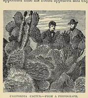 An illustration from Beyond the Mississippi : from the great river to the great ocean : life and adventure on the prairies, mountains, and Pacific coast (1869)