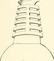 Picture 5 of 47 from The Bhilsa topes; or, Buddhist monuments of central India: (1854), leaf 412